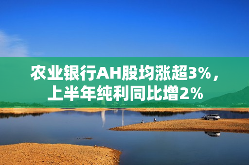 农业银行AH股均涨超3%，上半年纯利同比增2%