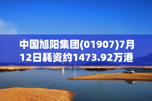 中国旭阳集团(01907)7月12日耗资约1473.92万港元回购492.4万股