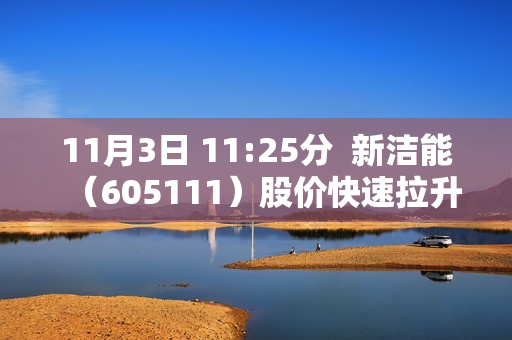 11月3日 11:25分  新洁能（605111）股价快速拉升