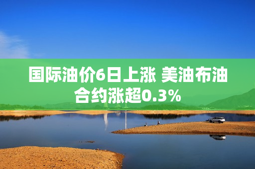 国际油价6日上涨 美油布油合约涨超0.3%