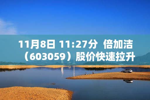 11月8日 11:27分  倍加洁（603059）股价快速拉升