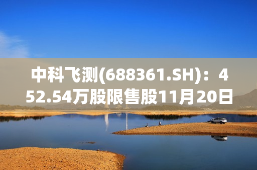 中科飞测(688361.SH)：452.54万股限售股11月20日解禁