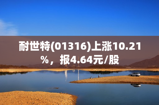 耐世特(01316)上涨10.21%，报4.64元/股