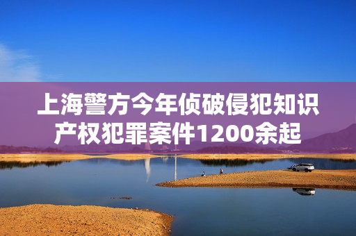 上海警方今年侦破侵犯知识产权犯罪案件1200余起