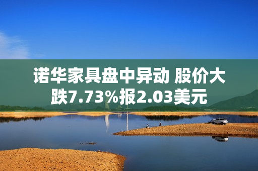 诺华家具盘中异动 股价大跌7.73%报2.03美元