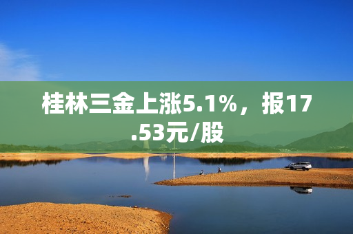 桂林三金上涨5.1%，报17.53元/股
