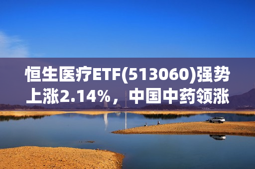 恒生医疗ETF(513060)强势上涨2.14%，中国中药领涨