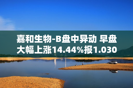 嘉和生物-B盘中异动 早盘大幅上涨14.44%报1.030港元