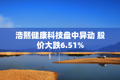 浩熙健康科技盘中异动 股价大跌6.51%